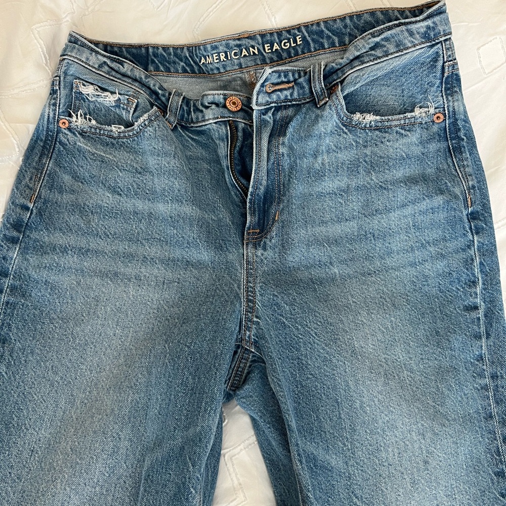 AE Mom Jeans